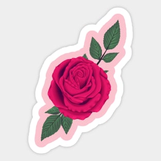 Pink Rose Sticker